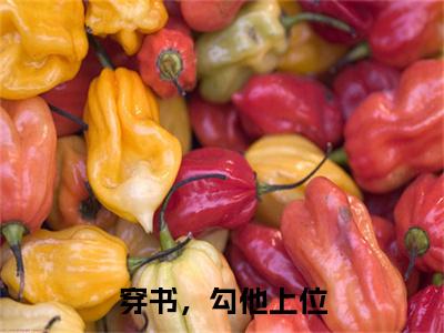 穿书，勾他上位（苏婧瑶君泽辰全文免费大结局）在线阅读-苏婧瑶君泽辰全文无删减免费赏析