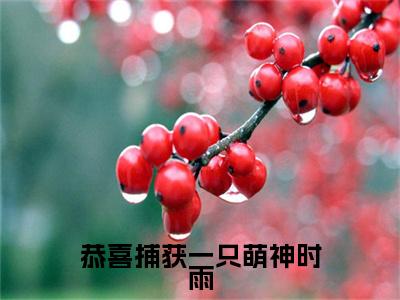 恭喜捕获一只萌神时雨（时雨）全文免费阅读无弹窗大结局_恭喜捕获一只萌神时雨最新章节列表-笔趣阁时雨