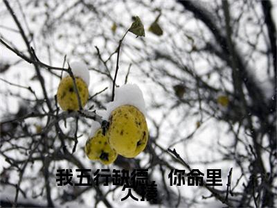 （白芷）全文免费阅读无弹窗大结局_我五行缺德，你命里欠揍完整版最新阅读_笔趣阁（白芷）