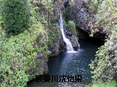 顾晏川沈怡染（沈怡染顾晏川）小说全文免费阅读无弹窗大结局_（沈怡染顾晏川免费阅读）顾晏川沈怡染最新章节列表笔趣阁