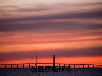 祝芸汐陆知年（陆知年祝芸汐）最火小说全文-（陆知年祝芸汐）祝芸汐陆知年小说完整版免费阅读