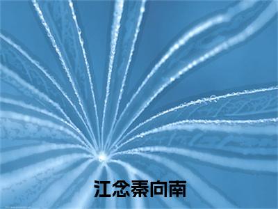 免费+后续江念秦向南（秦向南江念）快手热推小说主角江念秦向南完整版在线阅读