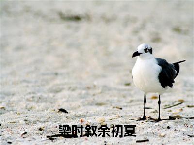 梁时叙余初夏小说（余初夏梁时叙）全文免费阅读无弹窗大结局_梁时叙余初夏完整版最新阅读_笔趣阁（余初夏梁时叙）