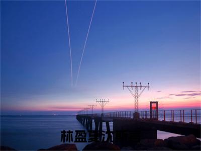 林盈夏沈斯言是什么小说林盈夏沈斯言正版小说免费阅读_笔趣阁