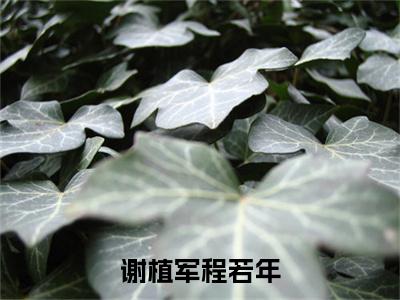 谢植军程若年（程若年谢植军）精彩热门小说_（谢植军程若年）程若年谢植军最新章节列表_笔趣阁