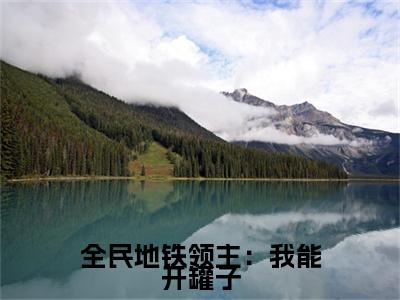 全民地铁领主：我能开罐子全文免费阅读大结局_全民地铁领主：我能开罐子（龙桀）完整版在线赏析