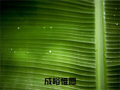 成峪惟愿最新章节（成峪惟愿）全文免费阅读无弹窗大结局_成峪惟愿小说全文免费阅读正版无弹窗