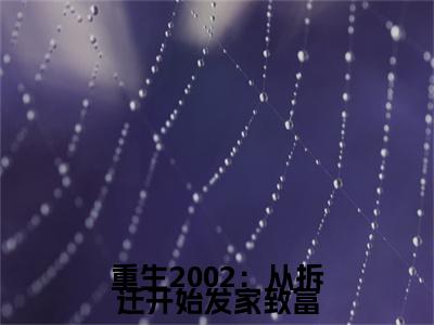 重生2002：从拆迁开始发家致富小说（华阳）全文免费阅读无弹窗_重生2002：从拆迁开始发家致富小说最新章节免费阅读_笔趣阁（华阳）