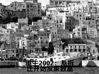 华阳小说-重生2002：从拆迁开始发家致富最新章节全文阅读