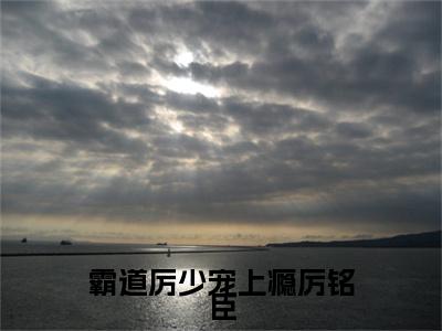 霸道厉少宠上瘾厉铭臣（夏念儿厉铭臣）全文免费阅读_霸道厉少宠上瘾厉铭臣最新章节小说免费阅读_笔趣阁