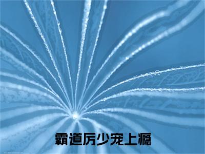 夏念儿厉铭臣霸道厉少宠上瘾完整全文在线阅读夏念儿厉铭臣全文大结局阅读无弹窗