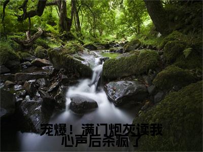 宠爆！满门炮灰读我心声后杀疯了叶茵茵正版美文欣赏叶茵茵小说全文完整版免费阅读