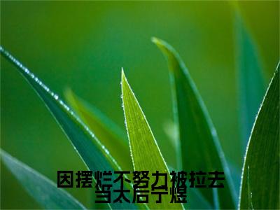 因摆烂不努力被拉去当太后宁煜（柳相思宁煜小说）在线阅读全文-柳相思宁煜小说免费阅读完结版全文