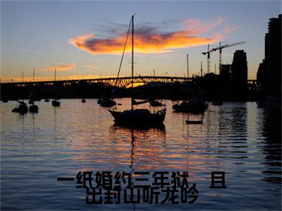 林傲（林傲）全文免费阅读无弹窗大结局_一纸婚约三年狱，且出封山听龙吟最新章节列表