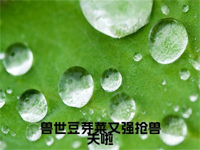 兽世豆芽菜又强抢兽夫啦免费小说全文免费阅读无弹窗大结局_南月狐克完结版在线阅读