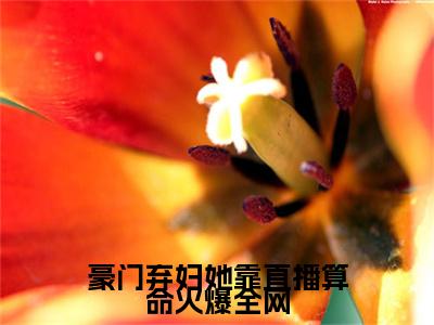 今夏全文免费阅读无弹窗大结局_（豪门弃妇她靠直播算命火爆全网阅读全文大结局）今夏最新章节列表（豪门弃妇她靠直播算命火爆全网）