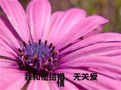 我和他结婚，无关爱情全文免费阅读无弹窗大结局_（姜沫沫林深）我和他结婚，无关爱情完整版全文在线赏析