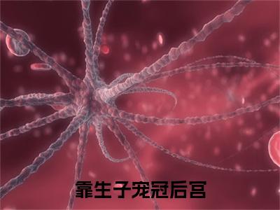 主角为桑芷的小说（靠生子宠冠后宫）大结局免费阅读-靠生子宠冠后宫全文免费阅读笔趣阁