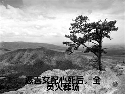 恶毒女配心死后，全员火葬场（越笙歌）全文免费阅读无弹窗大结局_（恶毒女配心死后，全员火葬场）越笙歌全文阅读-笔趣阁