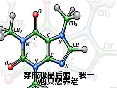 穿成极品后娘，我一心只想养老小说（唐宁）精彩章节-唐宁全文免费在线阅读