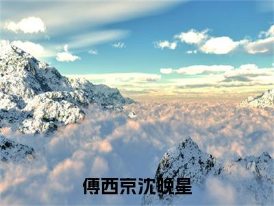 傅西京沈晚星全文免费阅读（沈晚星傅西京免费阅读无弹窗）傅西京沈晚星最新章节列表_笔趣阁