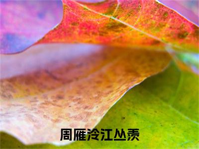 热门小说已完结周雁泠江丛羡小说无弹窗大结局_周雁泠江丛羡周雁泠江丛羡全文阅读大结局