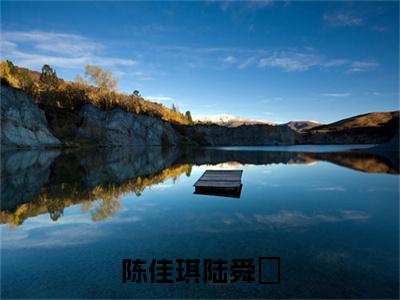 小说《陈佳琪陆舜晞》全文免费阅读无弹窗-陈佳琪陆舜晞小说全文在线赏析