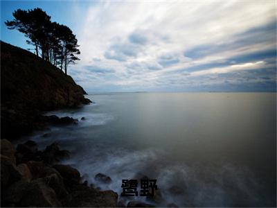 鹭野秦鹭沈承风全文免费阅读_鹭野无弹窗最新章节