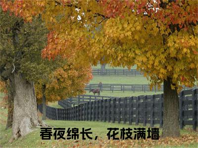 春夜绵长，花枝满墙（江云山姜蕊）全文免费阅读无弹窗大结局_春夜绵长，花枝满墙完整版在线阅读章节列表_笔趣阁