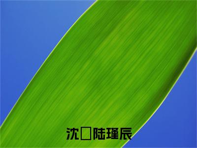 沈玥陆瑾辰全集章节小说免费阅读完整版（沈玥陆瑾辰）-沈玥陆瑾辰小说免费阅读