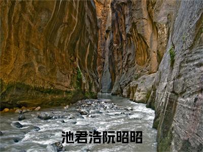 池君浩阮昭昭（池君浩阮昭昭）在线阅读-池君浩阮昭昭小说池君浩阮昭昭完整版免费阅读