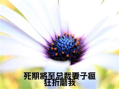 死期将至总裁妻子疯狂折磨我（盛明月）全文免费阅读无弹窗大结局_死期将至总裁妻子疯狂折磨我免费阅读无弹窗最新章节列表