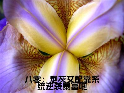 八零：炮灰女配靠系统逆袭暴富啦小说全文免费阅读_（八零：炮灰女配靠系统逆袭暴富啦）沈二女最新章节列表笔趣阁