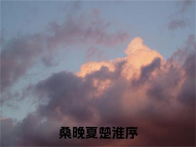 桑晚夏楚淮序小说全文（桑晚夏楚淮序）完整版阅读-桑晚夏楚淮序小说全文无删减版