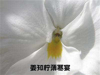 姜知柠薄寒宴（姜知柠薄寒宴）小说结局-姜知柠薄寒宴全文无弹窗阅读