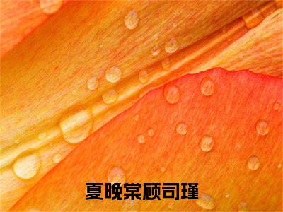 夏晚棠顾司瑾最新完结免费阅读-夏晚棠顾司瑾悬疑小说在线阅读