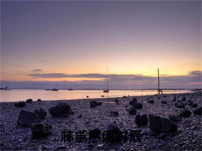 林鸢然傅时辰小说（林鸢然傅时辰全文完整版免费阅读）_林鸢然傅时辰小说免费最新章节列表_笔趣阁