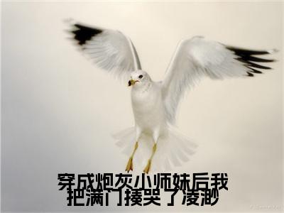 穿成炮灰小师妹后我把满门揍哭了凌渺（凌渺）小说全文免费_穿成炮灰小师妹后我把满门揍哭了凌渺（凌渺）最新章节目录笔趣阁