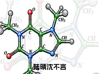 陆晴沈不言（沈不言陆晴）全文免费阅读_陆晴沈不言（沈不言陆晴）最新章节小说免费阅读