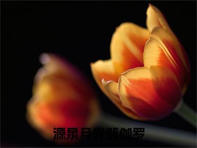 楚芙裴伽罗免费源泉月光裴伽罗读无弹窗最新章节列表_笔趣阁（楚芙裴伽罗）