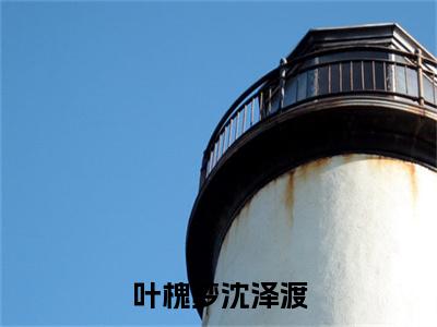 叶槐梦沈泽渡小说（叶槐梦沈泽渡）全文免费阅读无弹窗大结局_叶槐梦沈泽渡小说最新章节_笔趣阁（叶槐梦沈泽渡）