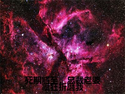 （盛明月薛怀瑾）是什么小说-死期将至，总裁老婆疯狂折磨我全文免费阅读无弹窗大结局（盛明月薛怀瑾）最新章节列表