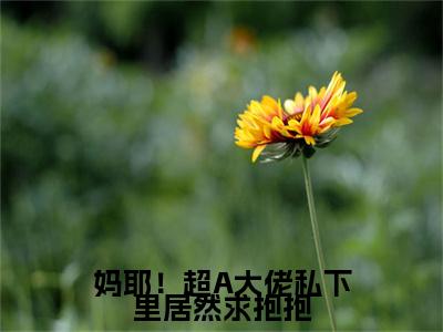 淤芝席寂川全文免费阅读无弹窗-（淤芝席寂川）妈耶！超A大佬私下里居然求抱抱小说全文在线阅读笔趣阁