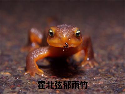 霍北弦郁雨竹全文免费阅读在线阅读霍北弦郁雨竹全文免费阅读最新章节列表_笔趣阁