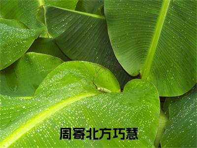 方巧慧周寄北最新章节（周寄北方巧慧）全文免费阅读无弹窗大结局_周寄北方巧慧小说全文免费阅读正版无弹窗