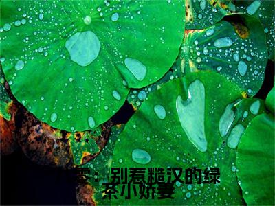 八零：别惹糙汉的绿茶小娇妻（江莹莹）全文免费阅读无弹窗_八零：别惹糙汉的绿茶小娇妻（江莹莹）全文阅读-笔趣阁