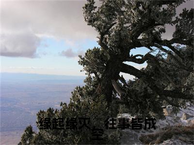 缘起缘灭，往事皆成空（卫棠溪姬澹台）小说全文免费阅读无弹窗大结局_缘起缘灭，往事皆成空最新章节列表