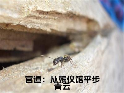 张元庆林翠柔小说完整版阅读-小说官道：从殡仪馆平步青云全文免费阅读