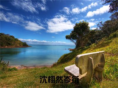 沈栩然岑衍（沈栩然岑衍）在线阅读-沈栩然岑衍小说沈栩然岑衍完整版免费阅读