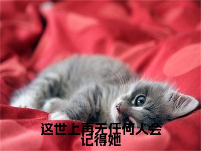 这世上再无任何人会记得她（关满妹傅黎全文在线阅读）-这世上再无任何人会记得她（关满妹傅黎）免费阅读无删减大结局